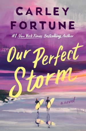 Our Perfect Storm Novel by Carley Fortune